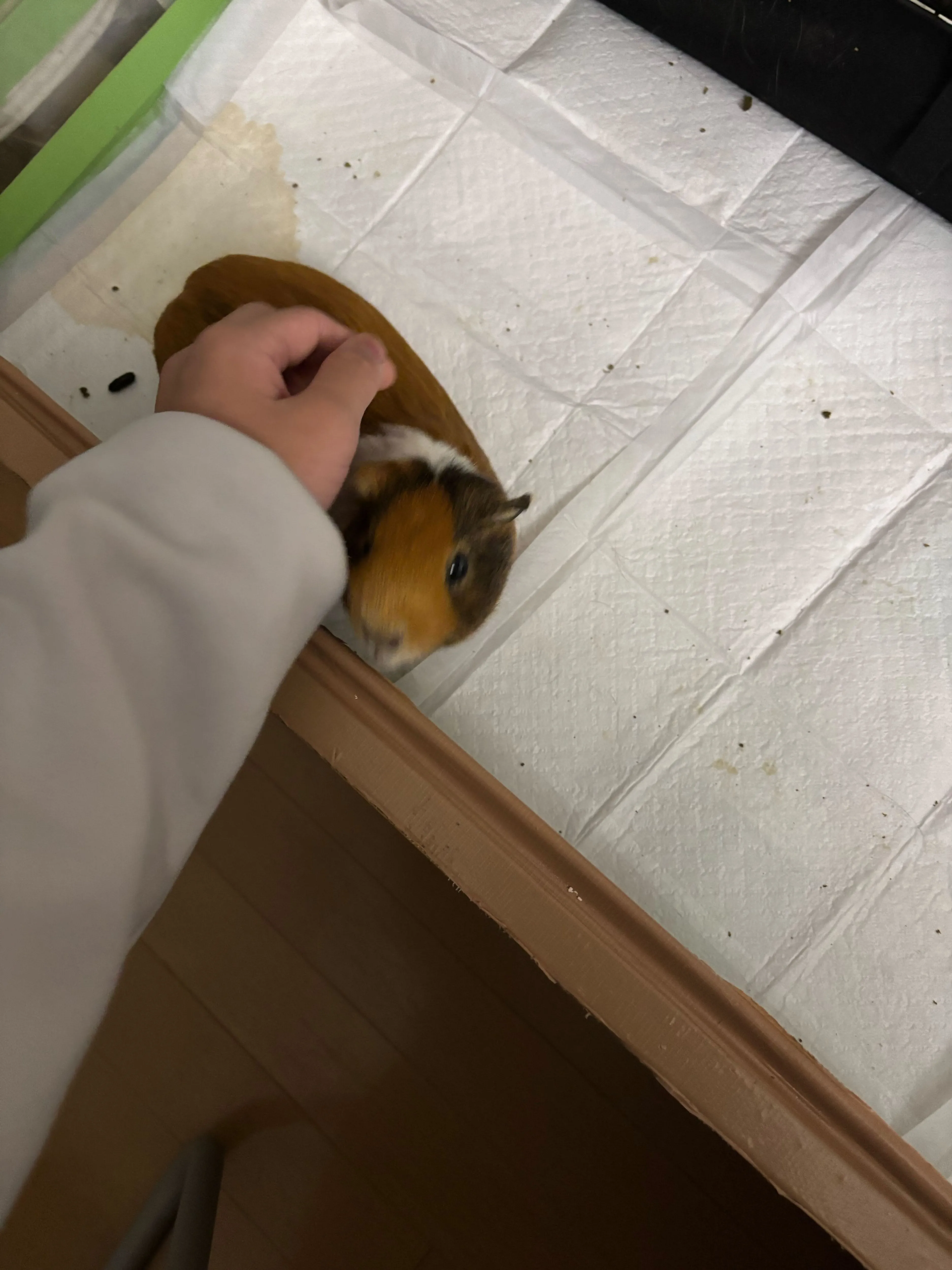 画像33