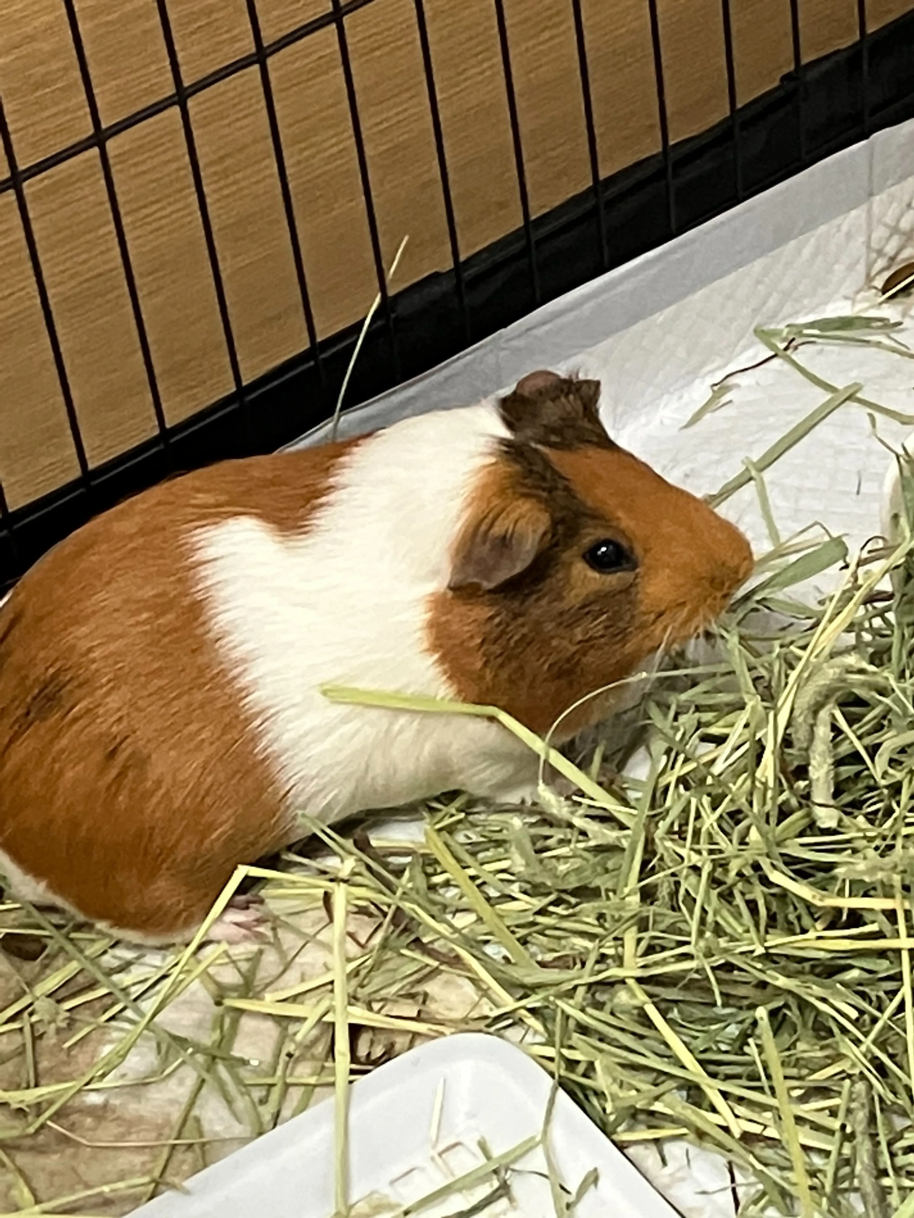 画像7